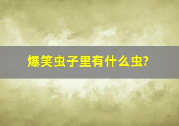 爆笑虫子里有什么虫?