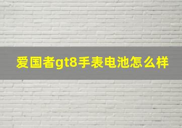 爱国者gt8手表电池怎么样