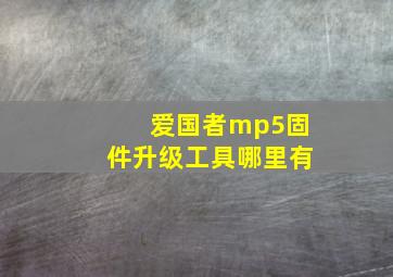 爱国者mp5固件升级工具哪里有