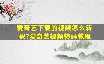 爱奇艺下载的视频怎么转码?爱奇艺视频转码教程