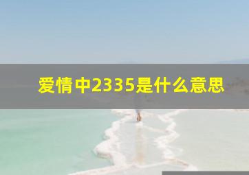 爱情中2335是什么意思(