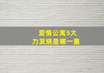 爱情公寓5大力发烧是哪一集