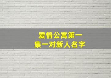 爱情公寓第一集一对新人名字