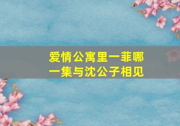 爱情公寓里一菲哪一集与沈公子相见