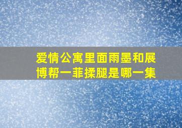 爱情公寓里面雨墨和展博帮一菲揉腿是哪一集