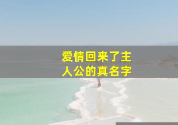 爱情回来了主人公的真名字