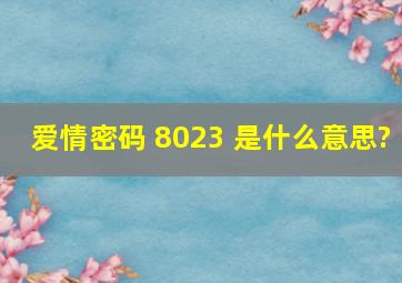 爱情密码 8023 是什么意思?