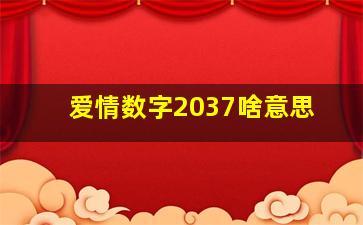 爱情数字2037啥意思