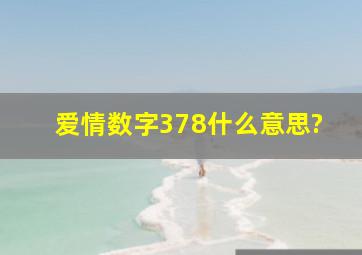 爱情数字378什么意思?