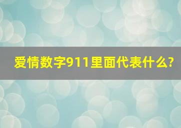 爱情数字911里面代表什么?