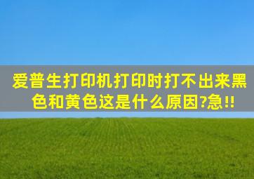 爱普生打印机打印时,打不出来黑色和黄色,这是什么原因?急!!