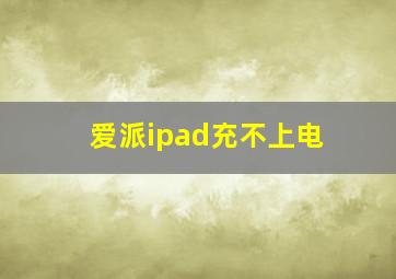 爱派ipad充不上电