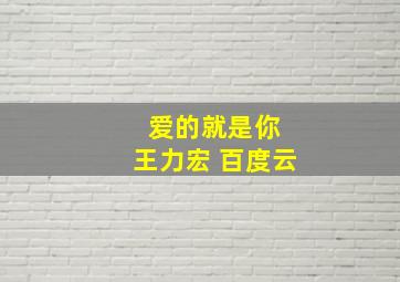 爱的就是你 王力宏 百度云