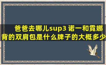 爸爸去哪儿³ 诺一和霓娜背的双肩包是什么牌子的,大概多少钱。谢谢,...