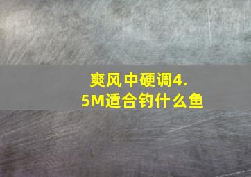 爽风中硬调4.5M适合钓什么鱼