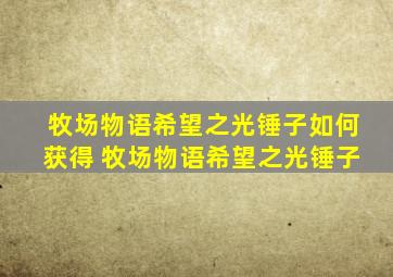 牧场物语希望之光锤子如何获得 牧场物语希望之光锤子