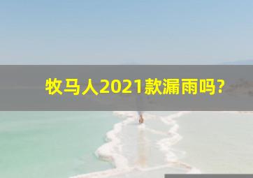 牧马人2021款漏雨吗?