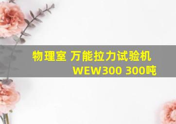 物理室 万能拉力试验机 WEW300 300吨