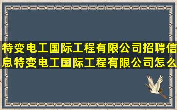 特变电工国际工程有限公司招聘信息,特变电工国际工程有限公司怎么样?