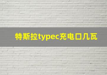 特斯拉typec充电口几瓦