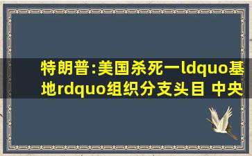 特朗普:美国杀死一“基地”组织分支头目 中央情报局干的