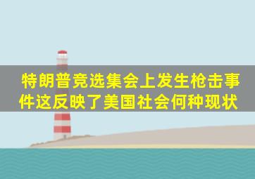 特朗普竞选集会上发生枪击事件,这反映了美国社会何种现状 