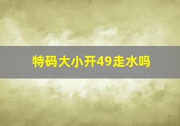 特码大小开49走水吗