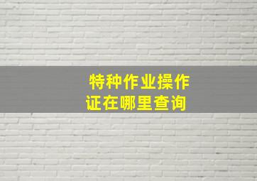 特种作业操作证在哪里查询 