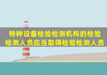 特种设备检验、检测机构的检验、检测人员应当取得检验、检测人员