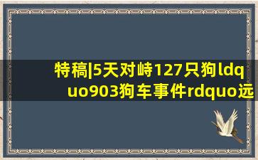 特稿|5天对峙,127只狗,“903狗车事件”远非人性的善与恶 