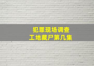 犯罪现场调查工地藏尸第几集