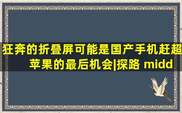 狂奔的折叠屏,可能是国产手机赶超苹果的最后机会|探路 ·2024