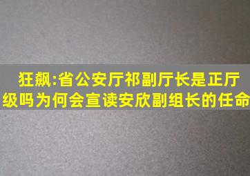 狂飙:省公安厅祁副厅长是正厅级吗,为何会宣读安欣副组长的任命