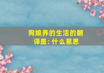 狗娘养的生活的翻译是: 什么意思