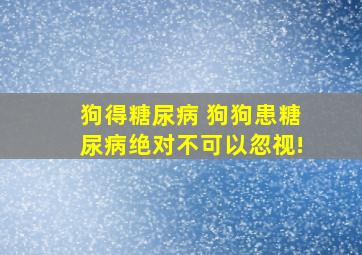 狗得糖尿病 狗狗患糖尿病绝对不可以忽视!