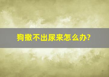 狗撒不出尿来怎么办?