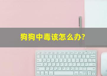 狗狗中毒该怎么办?