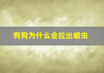 狗狗为什么会拉出蛔虫