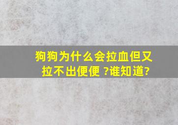 狗狗为什么会拉血但又拉不出便便 ?谁知道?