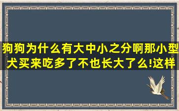 狗狗为什么有大中小之分啊(那小型犬买来吃多了不也长大了么!这样...