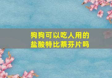 狗狗可以吃人用的盐酸特比萘芬片吗(