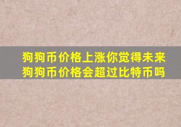 狗狗币价格上涨你觉得未来狗狗币价格会超过比特币吗(