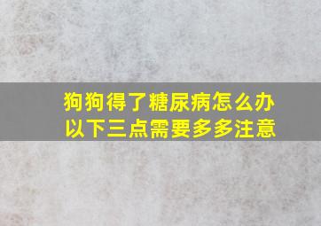 狗狗得了糖尿病怎么办 以下三点需要多多注意