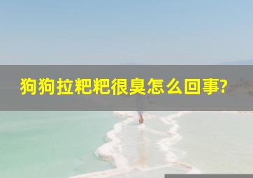 狗狗拉粑粑很臭怎么回事?