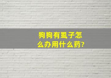 狗狗有虱子怎么办,用什么药?