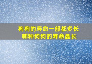 狗狗的寿命一般都多长 哪种狗狗的寿命最长