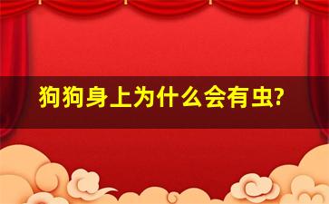 狗狗身上为什么会有虫?