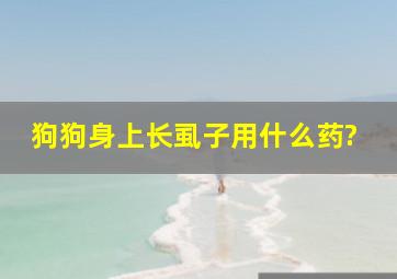 狗狗身上长虱子用什么药?