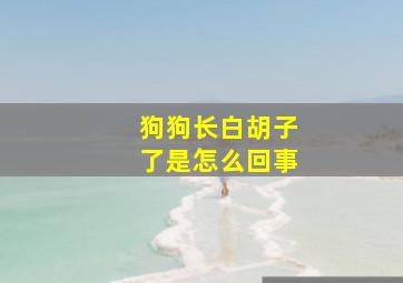 狗狗长白胡子了是怎么回事(