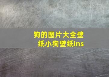 狗的图片大全壁纸(小狗壁纸ins)